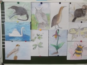 �����������